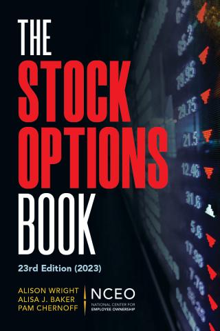 Product image for: The Stock Options Book
