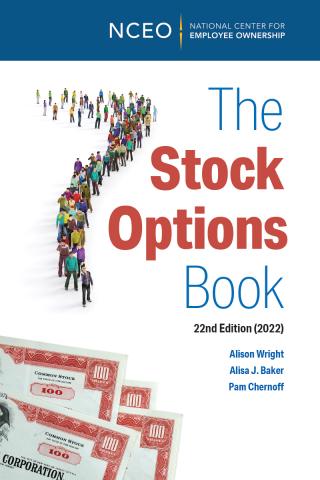 Product image for: The Stock Options Book